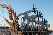 СП «Шелл-Газпром нефть» идет в Сибирь