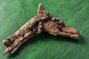 В Хакасии нашли игрушки детей, живших 4,5 тысячи лет назад