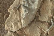 Специалисты NASA обнаружили на Марсе странные «палочковидные» образования
