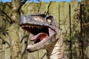 Останки ранее неизвестного науке динозавра обнаружены на территории Египта