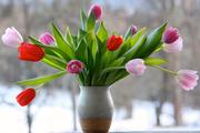 Названы легкие способы сохранить подаренные на 9 марта цветы