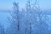Синоптики прогнозируют в Москве мороз  минус 20 градусов  в ночь на 6 марта