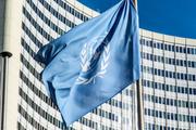 Лондон грубо блокировал в СБ ООН  заявление Москвы по делу Скрипаля