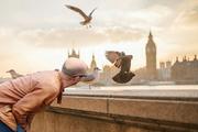 "Живы или нет, а может, ничего и не было": Лондон сообщил о состоянии Скрипалей