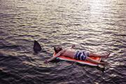 В Таиланде после нападения акулы на человека закрыли пляж