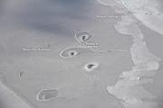 Специалисты NASA обнаружили во льдах Арктики странные отверстия