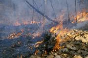 Многие населенные пункты по всей России не готовы к пожароопасному сезону
