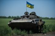 Эксперт заявила о начале режима военного террора Украины в Донбассе