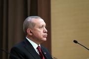 Эрдоган заявил, что Турция продолжит операции в Ираке и Сирии