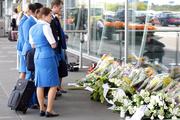 Посол: обвинения в причастности России к крушению MH17 являются провокацией