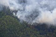 В Подмосковье объявлена высокая угроза лесных пожаров
