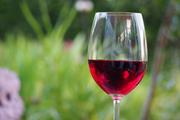 Ученые доказали пользу употребления вина для сохранения психического здоровья