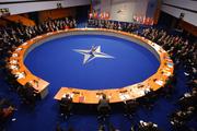 Трамп потребовал от стран НАТО срочно поднять расходы на оборону