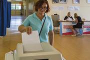 Зарубежные наблюдатели высоко оценили организацию выборов в Москве