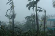 Жертвами тайфуна «Мангхут» на Филиппинах стали более 60 человек