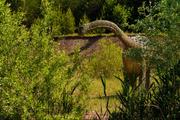 Видео: в Африке обнаружили гигантского динозавра, ранее неизвестного науке