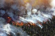 Более тысячи человек пропали без вести при пожарах в Калифорнии