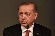 Эрдоган: решить ситуацию в Керченском проливе следует дипломатическим путем