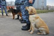 Десять московских ТЦ эвакуировали после сообщений о "заложенной бомбе"