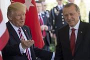 Американские СМИ: разговор Трампа и Эрдогана о Сирии привел к "катастрофе"