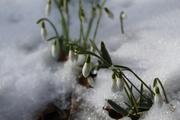 Москвичам советуют не рассчитывать на раннюю весну