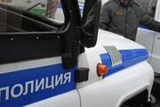 МВД расследует поимку нарушителя во Владимире при помощи "живого щита"