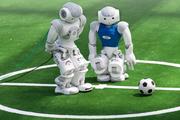 Футбольная команда из роботов создана российскими разработчиками