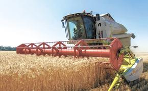 Урожай зерна в этом году достигнет 118 млн тонн