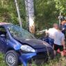 На трассе в Челябинской области семью чуть не убило упавшее дерево