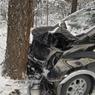 На трассе в Челябинской области микроавтобус с пассажирами разбился о дерево