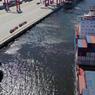 Новыми владельцами петербуржского порта «Бронка» стали москвичи