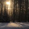 В марте в Псковской области синоптики прогнозируют потепление до +14 градусов 
