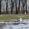 В Петербурге ожидается снег и ветер