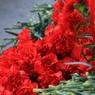 Петербуржцы присоединяются к субботникам на мемориалах воинской славы