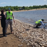 Прокуратура проверит сообщение о гибели рыбы в озере в Хабаровском крае