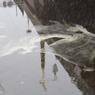 Петербуржцы считают, что штраф не остановит «Профбетон» от слива отходов в реку
