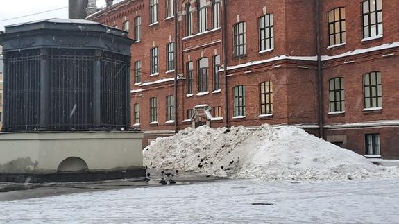 Автомобилистов Петербурга попросили не парковаться на улицах, где убирают снег