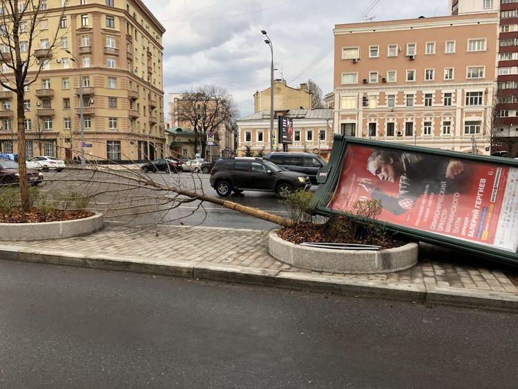 В МЧС рассказали, как не пострадать при шквалистом ветре и урагане