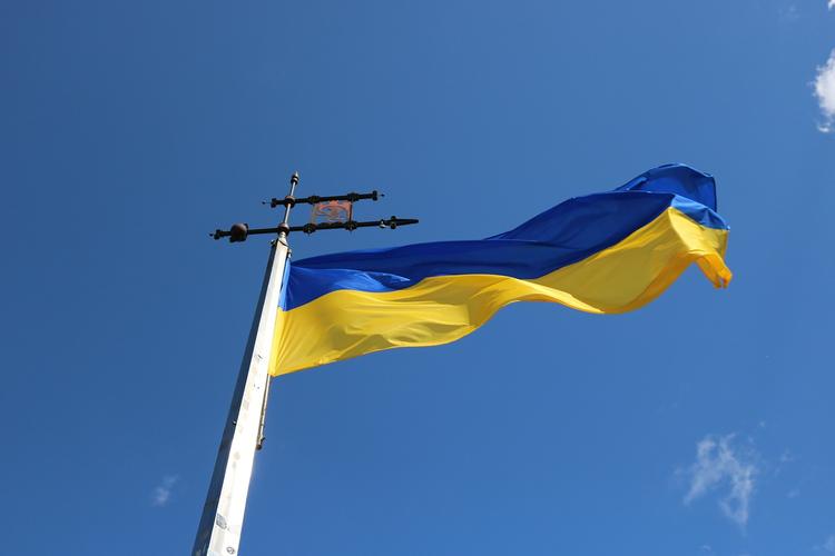 В Украине предложили судить ветеранов "как во всех нормальных странах"