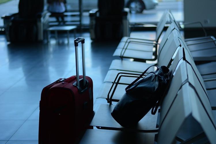 В аэропорту Домодедово пассажир пытался провезти в чемодане мину времен ВОВ