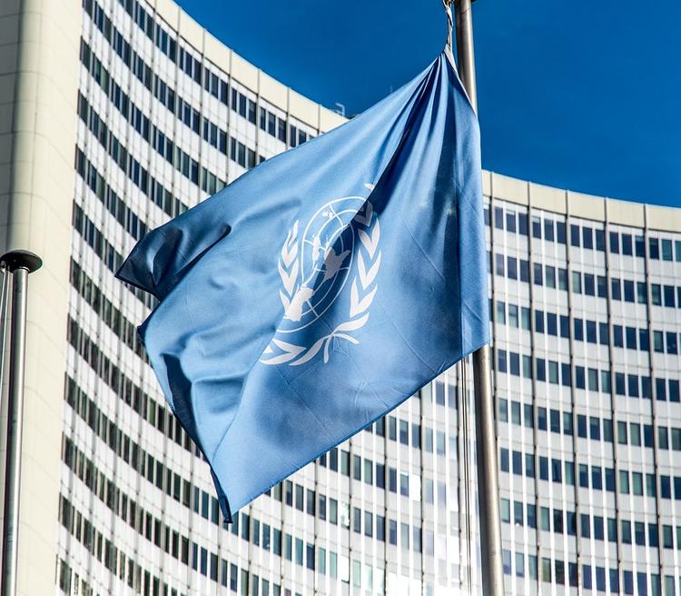 Россия заблокировала заявление СБ ООН по Сирии из-за искажения ситуации в Идлибе