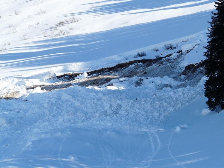 Спасатели МЧС временно приостановили поиски попавших под лавину на Алтае туристов