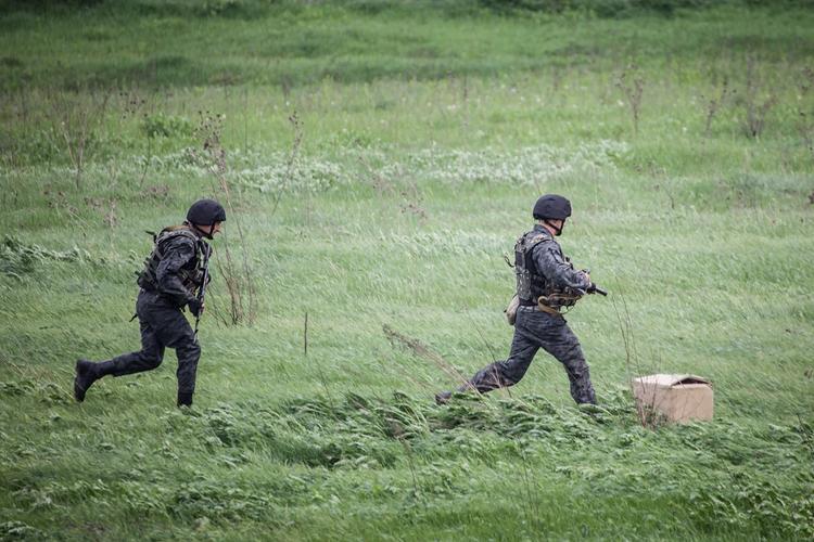 Военные ЛНР отбили попытку спецгруппы ВСУ прорваться на территорию республики