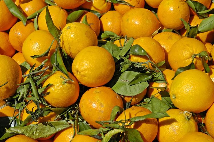 Через 60 лет в Сибири будут расти апельсины