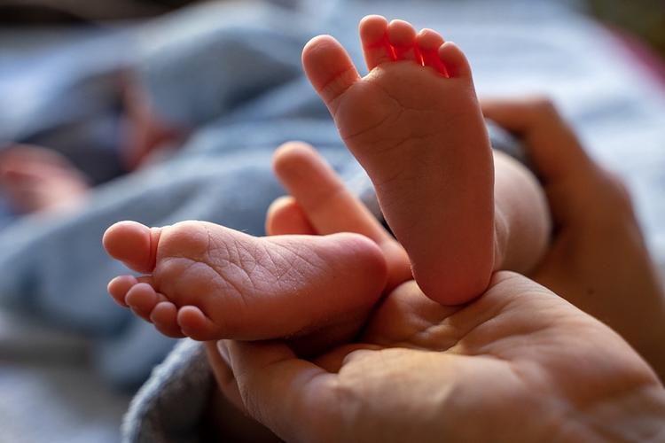 В Колпино под кустом нашли новорожденную девочку