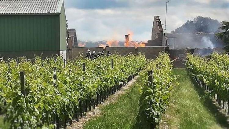 Франция осталась без коньяка