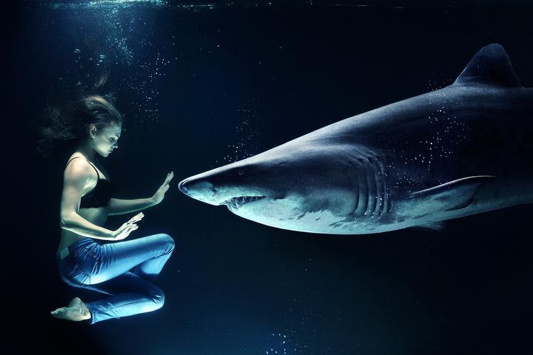 На Багамах акулы растерзали девушку