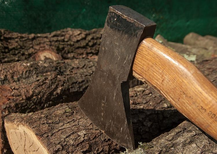 В Красногорске подросток с топором уничтожает молодые деревья