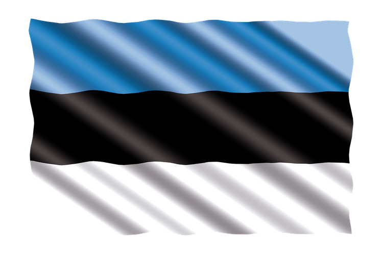 В Эстонии собрались увековечить немецких нацистов