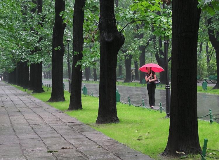 Синоптики: дождливый июль в Москве является нормой